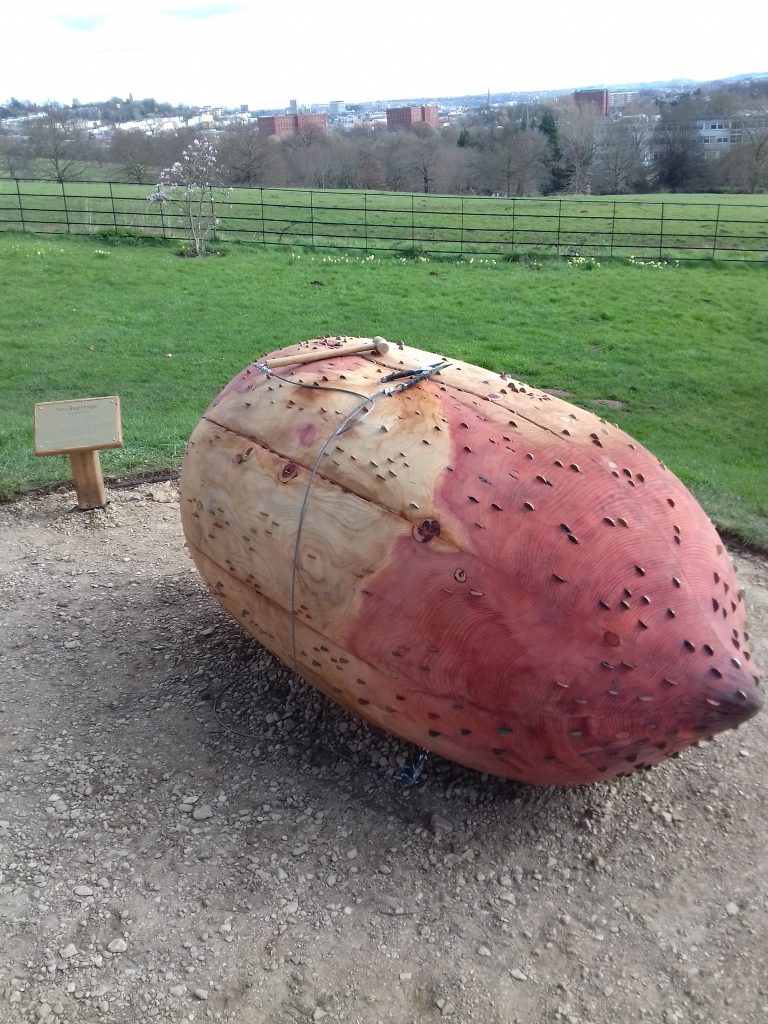 large wooden sculpture of a seed with view of Bristol behind