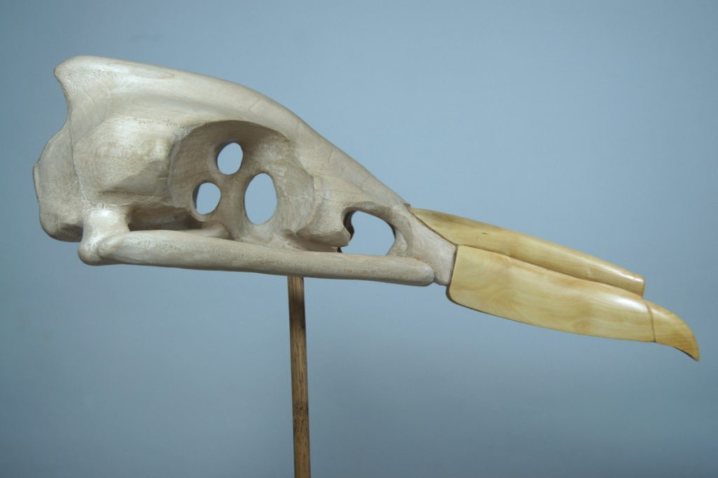 woodcarving of imaginary bird skull