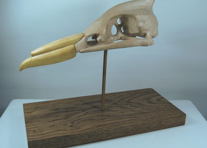 wood sculpture of imaginary birds head