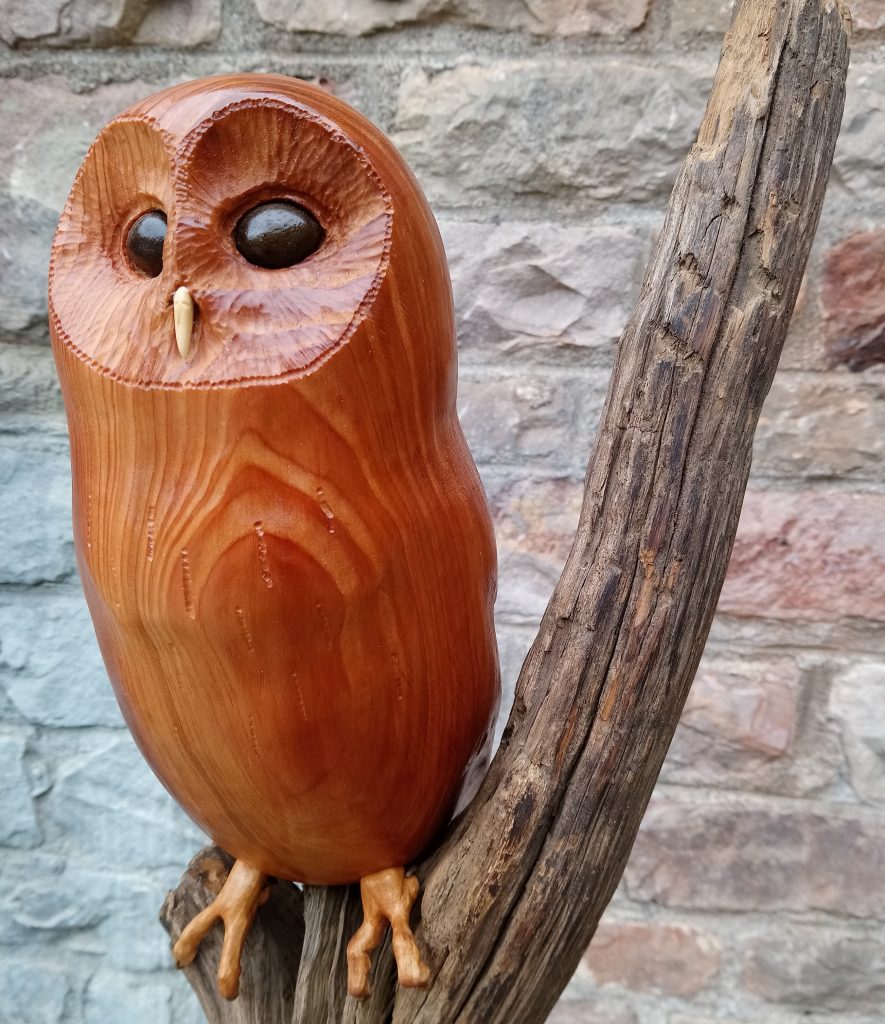 Carved wood sculpture of an alert owl on a branch
